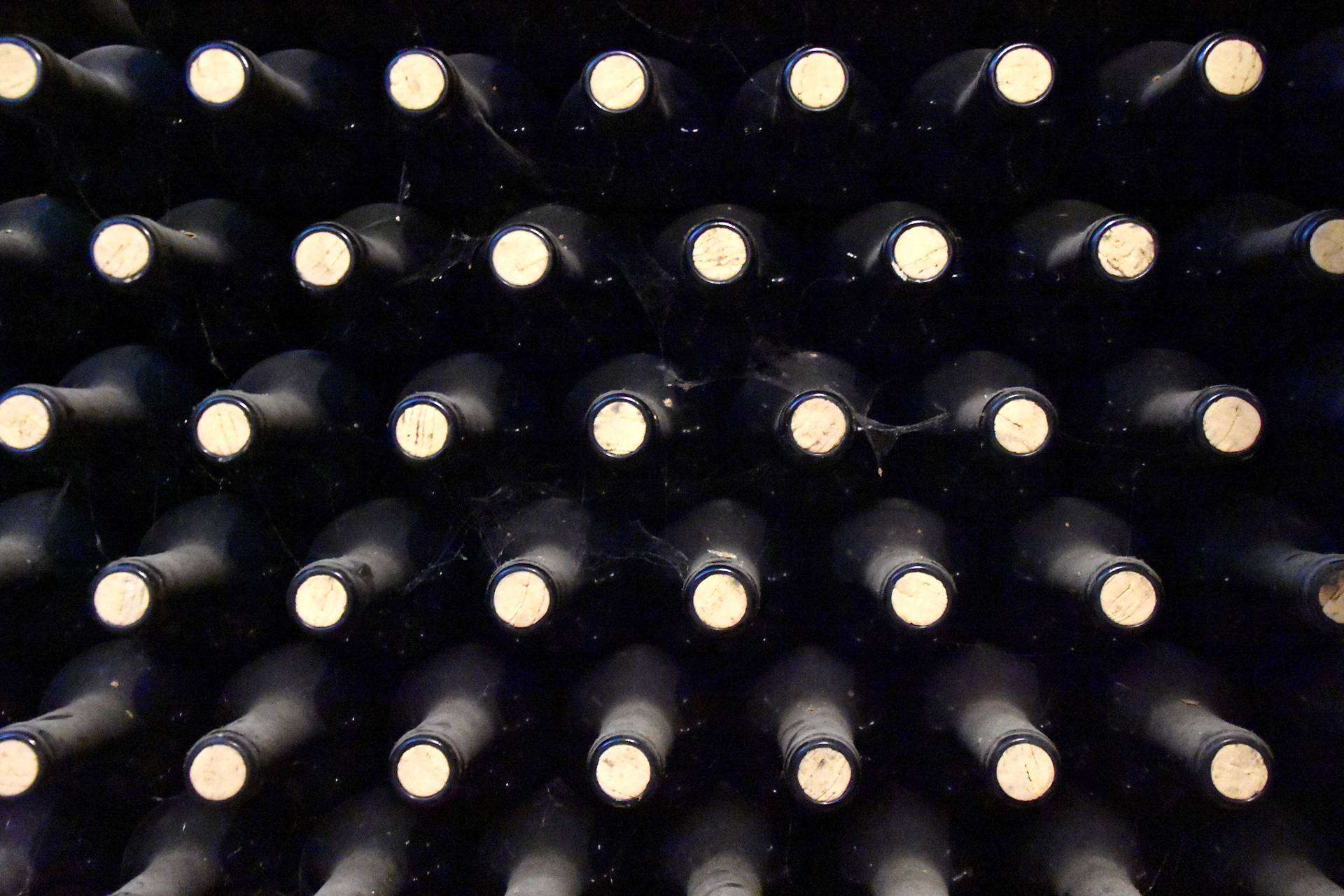 Wine Bottles
