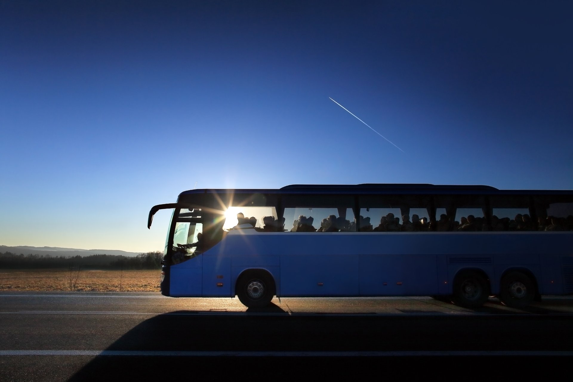 Bus